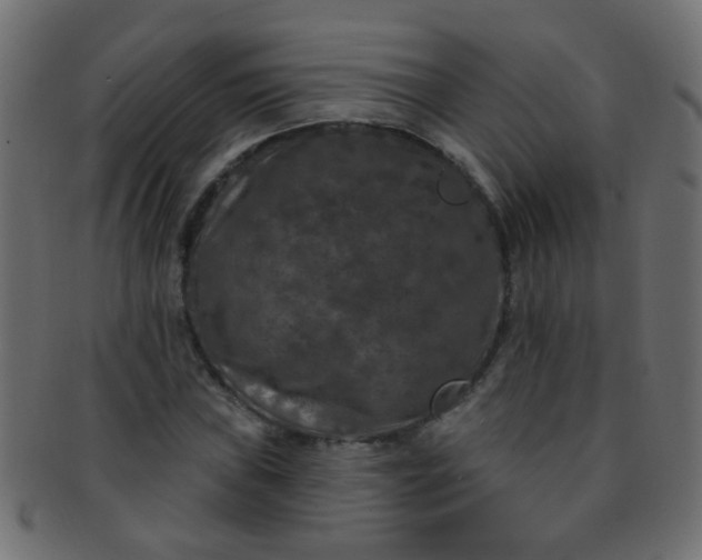 X0000091731019200709071455