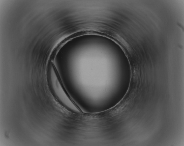 X0000091731020200709071455