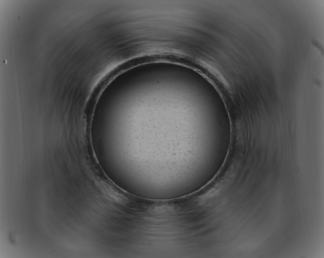 X0000091731021200709071455