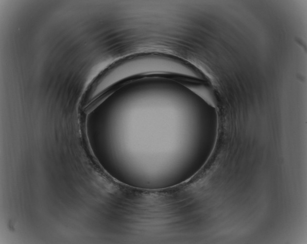 X0000091731022200709071455