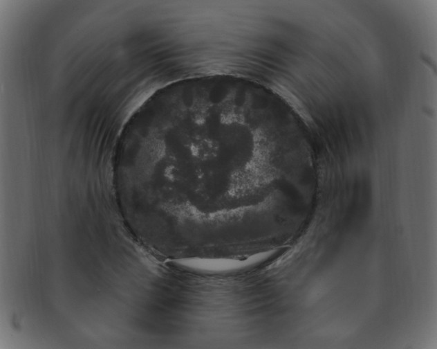 X0000091731023200709071455