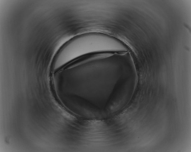 X0000091731024200709071455