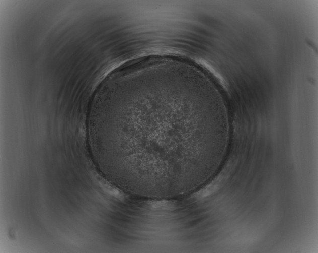 X0000091731025200709071455