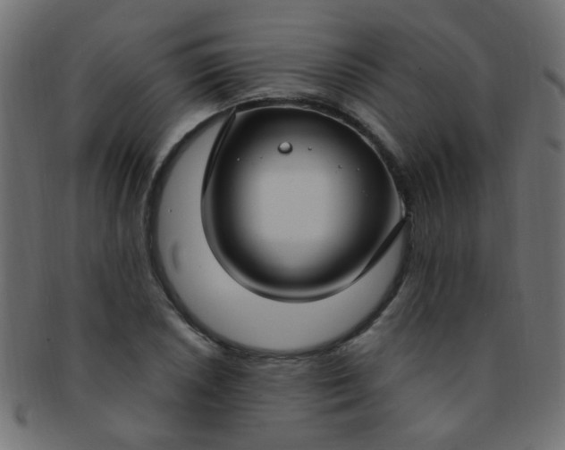 X0000091731026200709071455