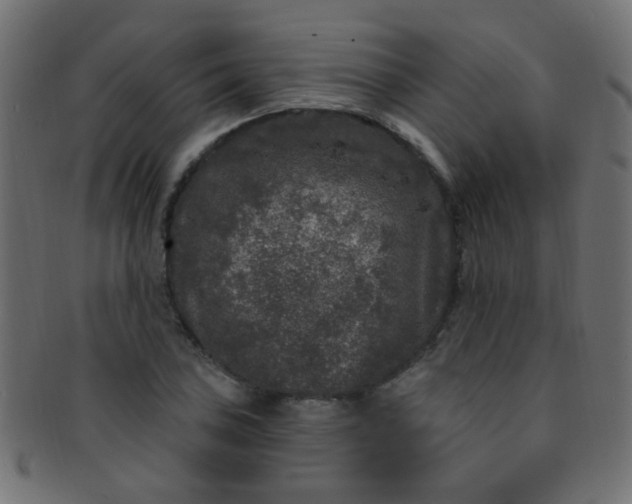 X0000091731027200709071455