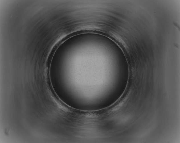 X0000091731029200709071455