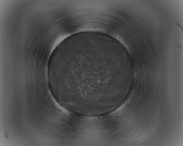 X0000091731030200709071455