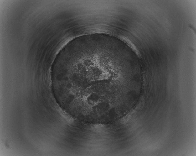 X0000091731031200709071455