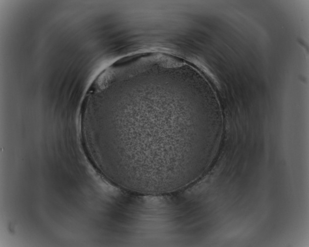 X0000091731032200709071455