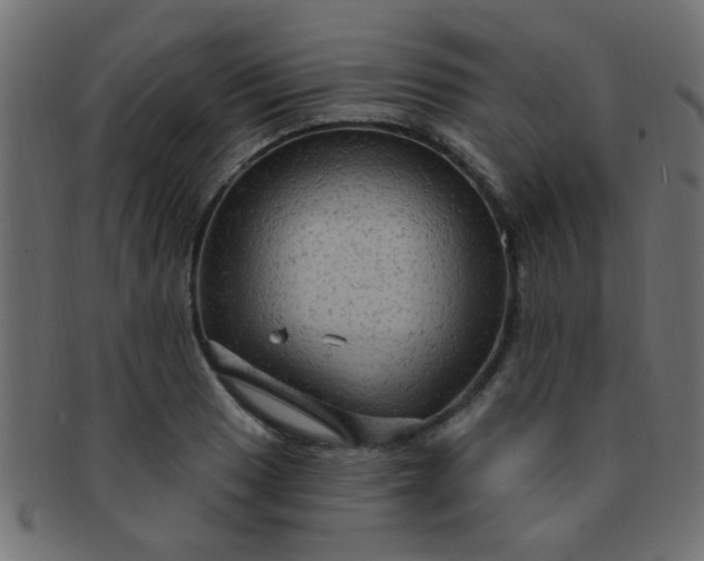 X0000091731033200709071455