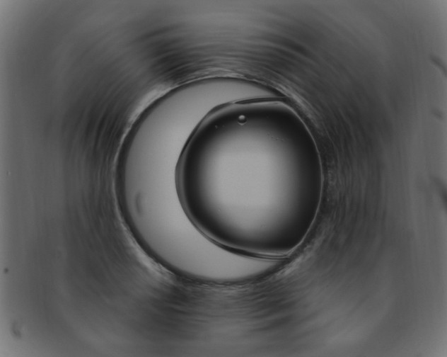 X0000091731034200709071455