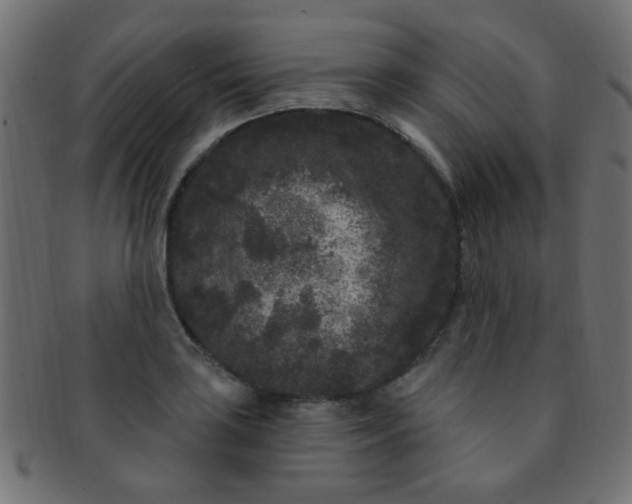 X0000091731035200709071455