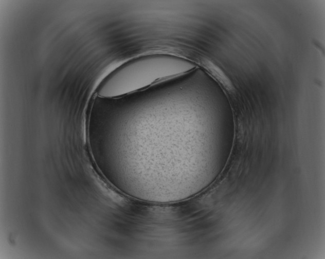 X0000091731036200709071455