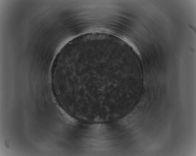 X0000091731037200709071455