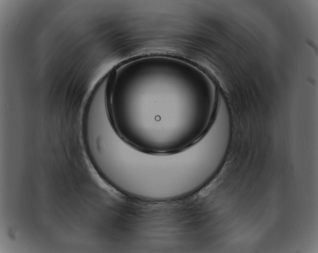 X0000091731038200709071455