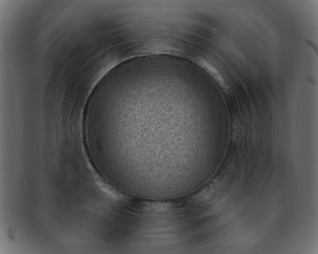 X0000091731039200709071455