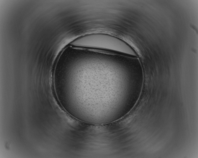 X0000091731040200709071455