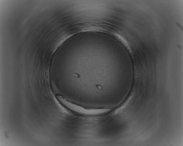 X0000091731041200709071455