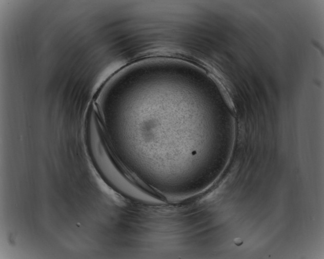 X0000091731042200709071455