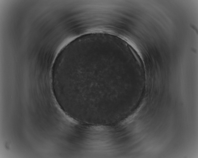 X0000091731045200709071455