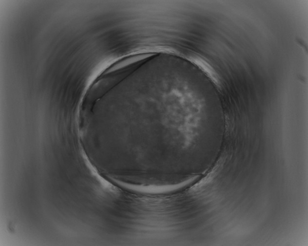 X0000091731046200709071455