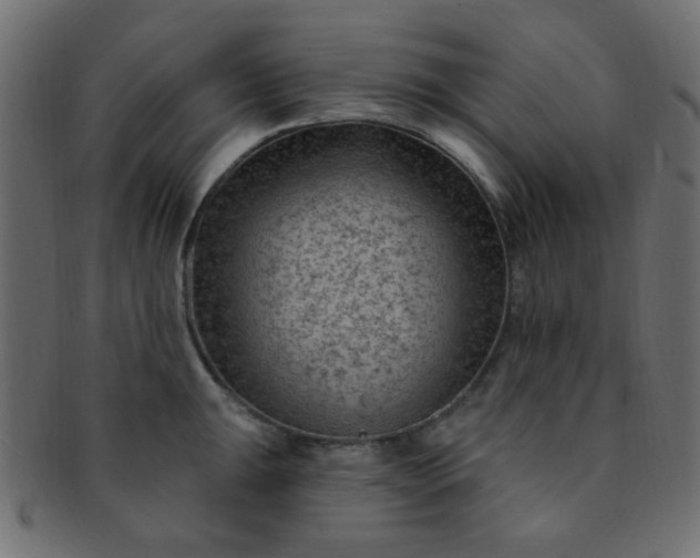 X0000091731047200709071455