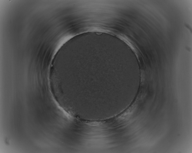 X0000091731048200709071455