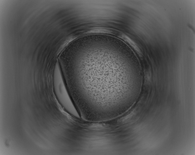 X0000091731049200709071455