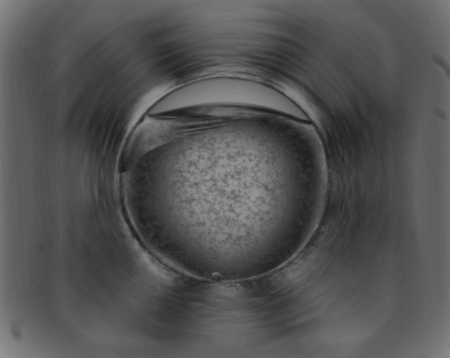 X0000091731050200709071455