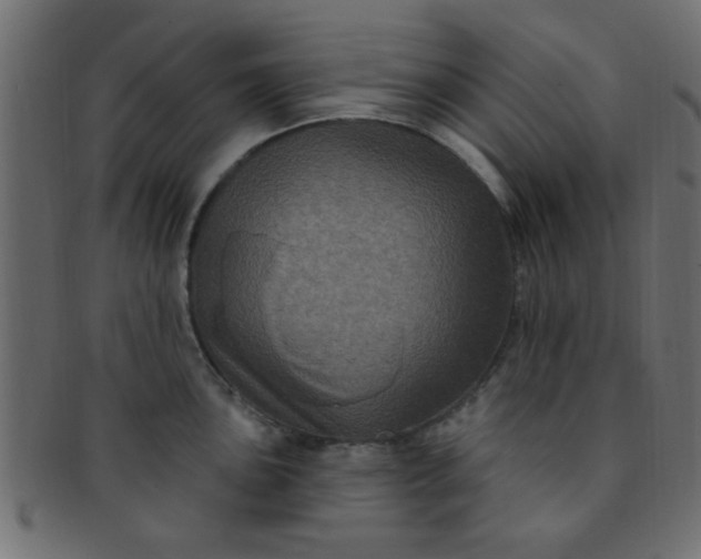 X0000091731051200709071455