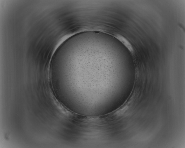 X0000091731052200709071455