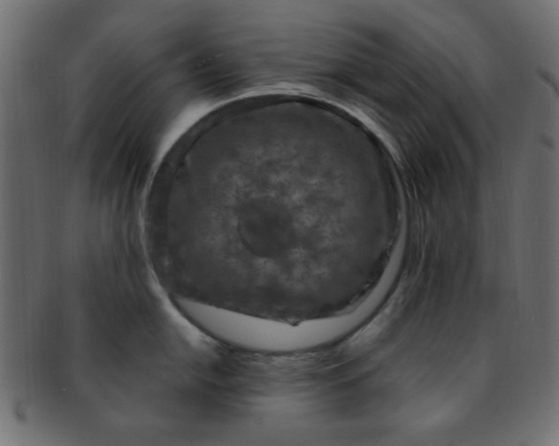 X0000091731054200709071455