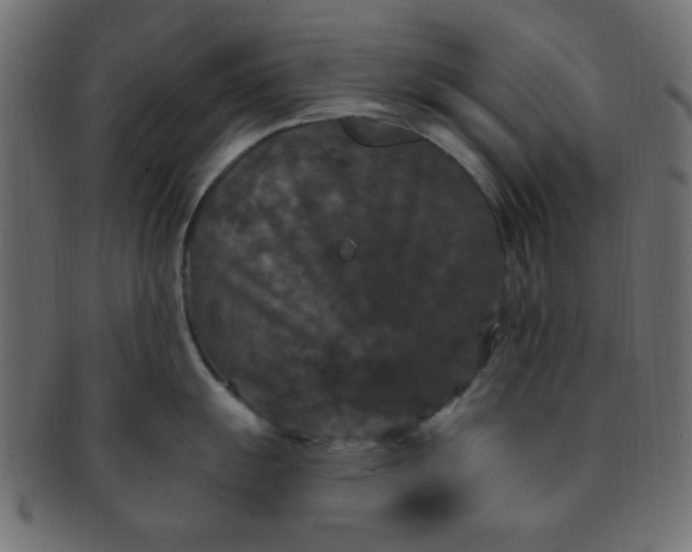 X0000091731055200709071455