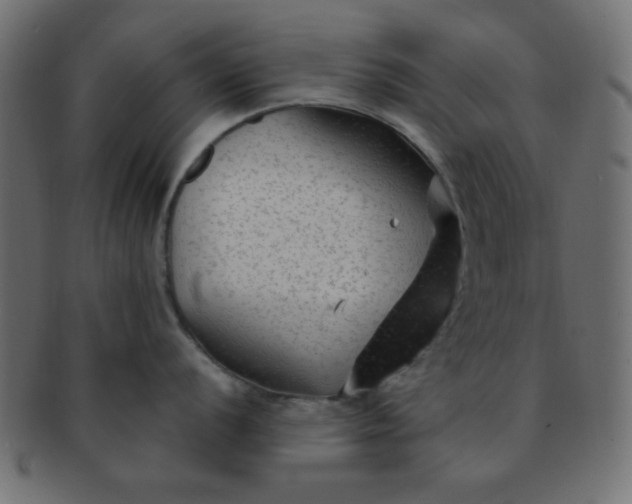 X0000091731056200709071455