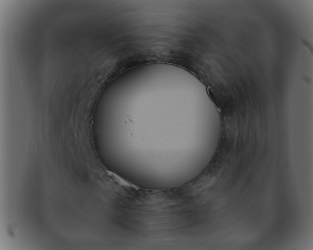 X0000091731057200709071455