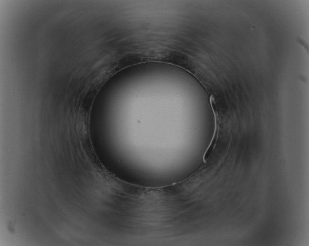 X0000091731058200709071455