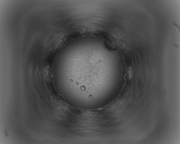 X0000091731059200709071455