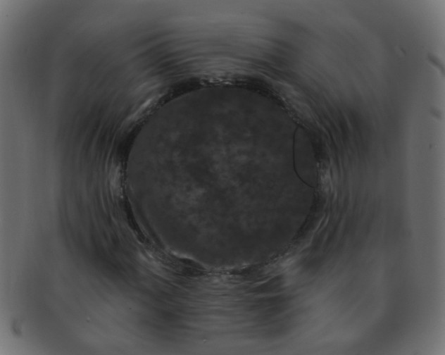 X0000091731060200709071455