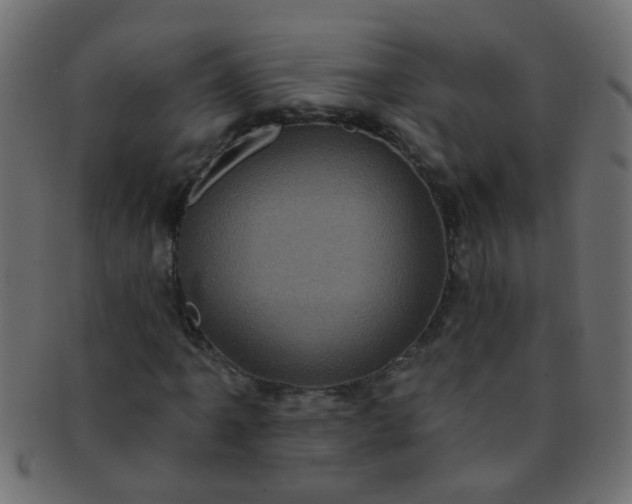 X0000091731061200709071454