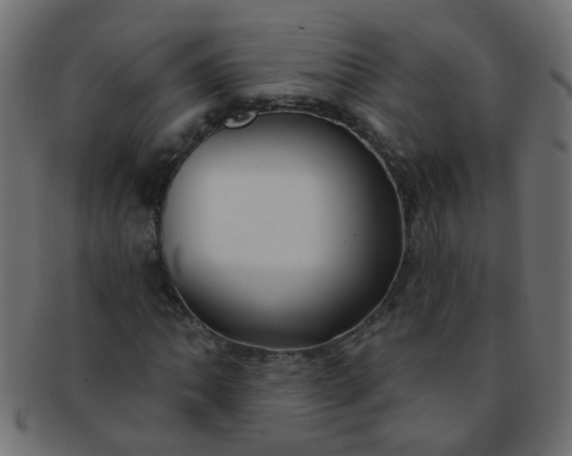 X0000091731062200709071454