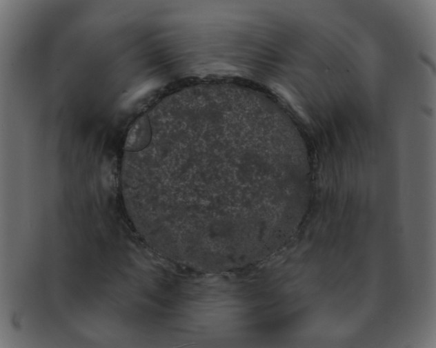 X0000091731063200709071454