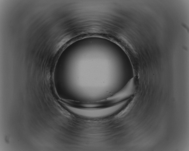 X0000091731065200709071454