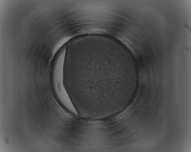 X0000091731066200709071454