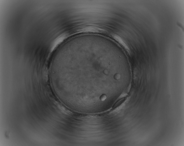 X0000091731067200709071454