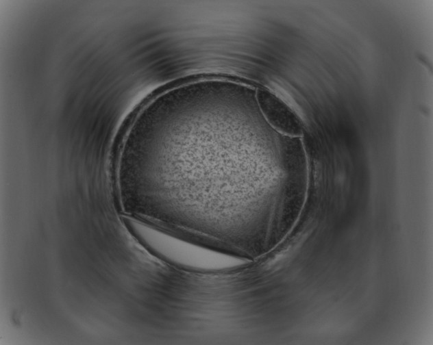 X0000091731068200709071454