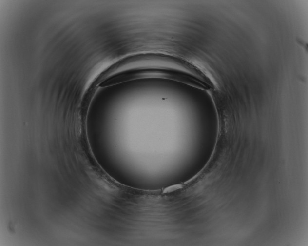 X0000091731069200709071454