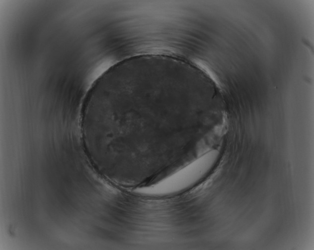 X0000091731071200709071454