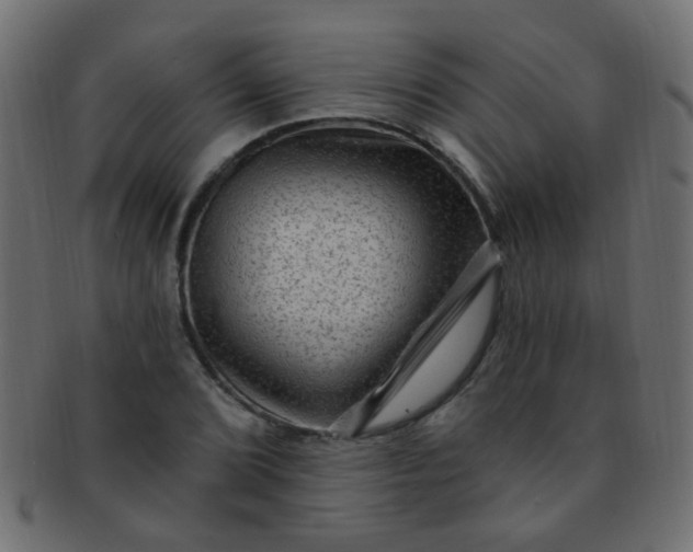 X0000091731072200709071454