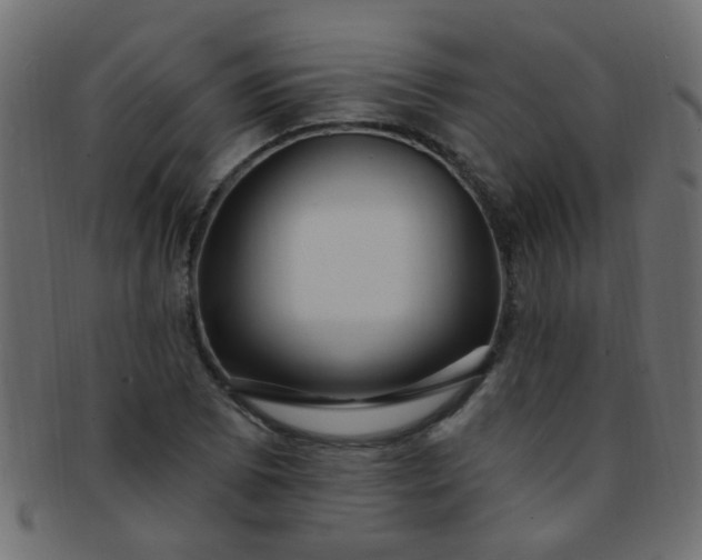 X0000091731073200709071454