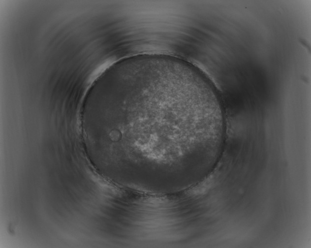 X0000091731074200709071454